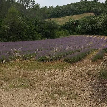 Prázdninový dům La Maison En Bois
