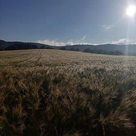 Prázdninový dům La Maison En Bois Monteils (Gard)