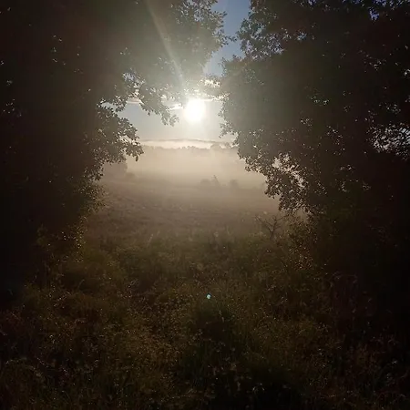 La Maison En Bois Prázdninový dům